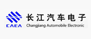 長江汽車電子